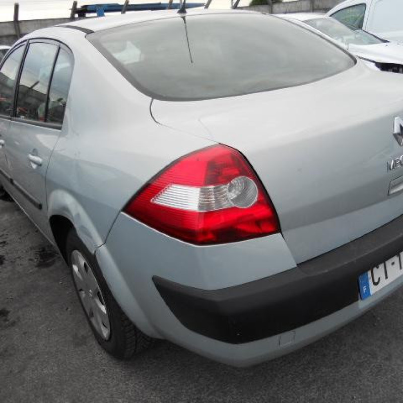 Custode arriere gauche (porte) RENAULT MEGANE 2 Photo n°5