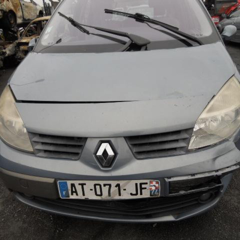 Vitre avant droit RENAULT SCENIC 2 Photo n°2