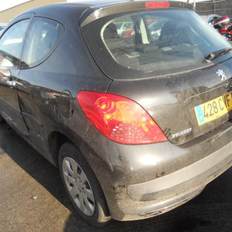 Custode arriere droit PEUGEOT 207 Photo n°5