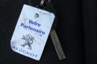 Custode arriere droit PEUGEOT 207