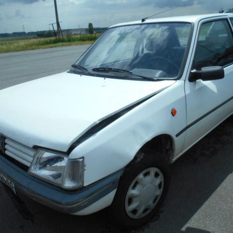 Custode arriere gauche PEUGEOT 205 Photo n°1