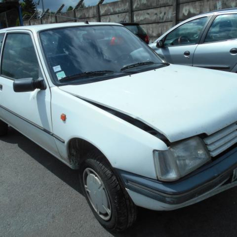 Custode arriere gauche PEUGEOT 205 Photo n°2