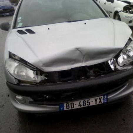 Custode arriere gauche PEUGEOT 206