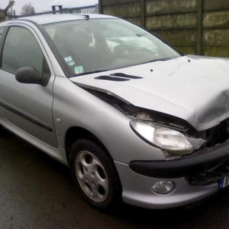 Custode arriere gauche PEUGEOT 206 Photo n°3