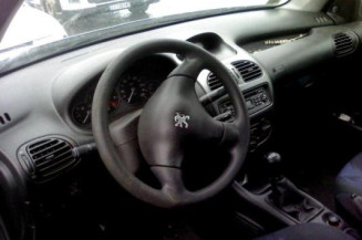 Custode arriere gauche PEUGEOT 206