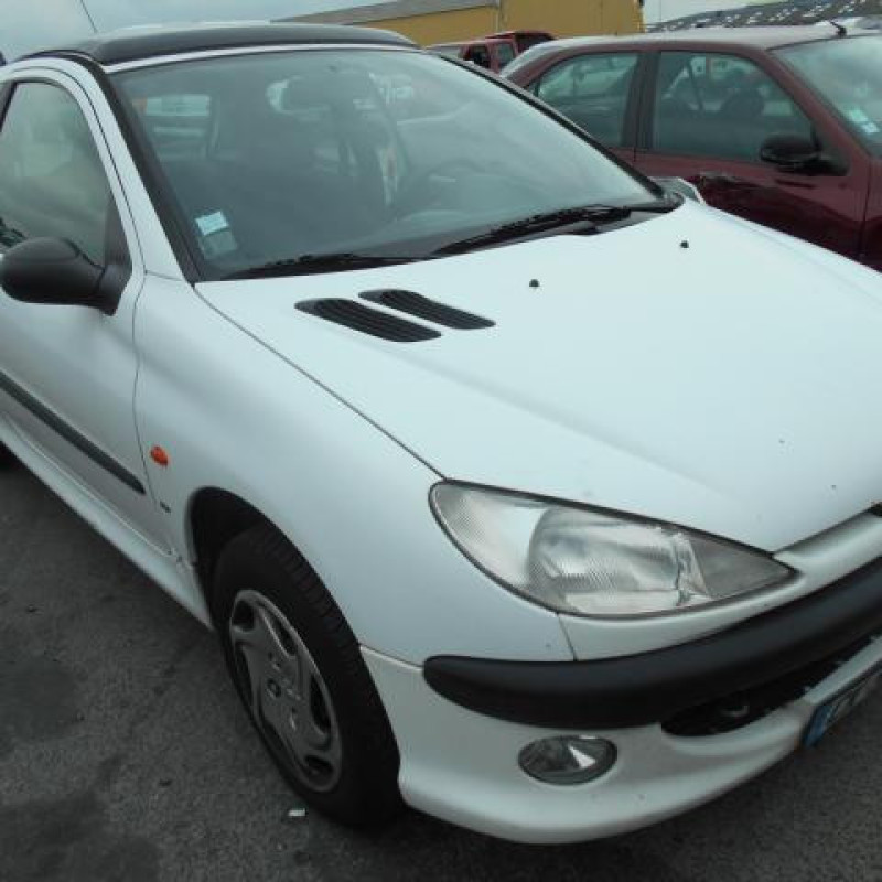 Custode arriere droit PEUGEOT 206 Photo n°2