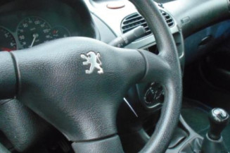 Custode arriere droit PEUGEOT 206