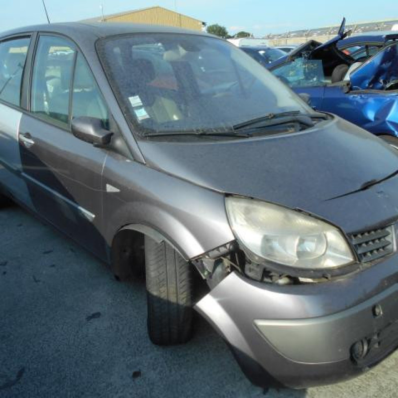 Commande regulateur vitesse RENAULT SCENIC 2 Photo n°4