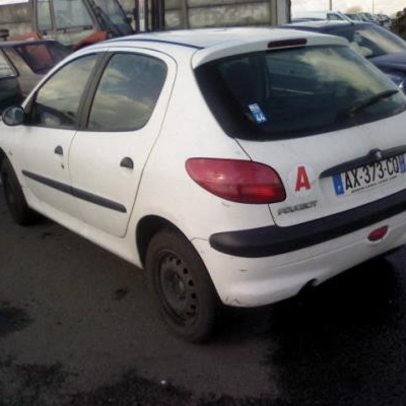 Afficheur PEUGEOT 206 Photo n°7