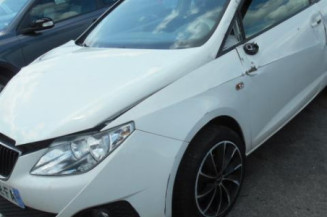 Debitmetre SEAT IBIZA 4