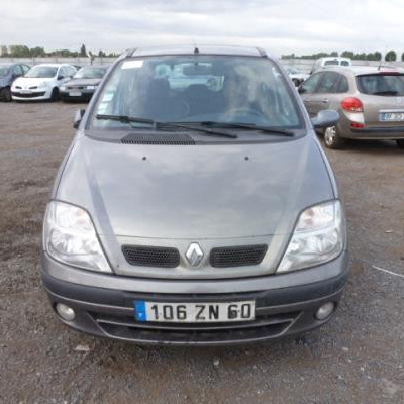 Afficheur RENAULT SCENIC 1 Photo n°6