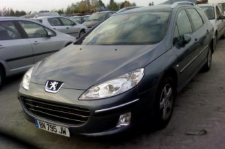 Poignee interieur arriere gauche PEUGEOT 407