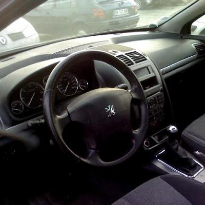 Poignee interieur arriere gauche PEUGEOT 407 Photo n°6