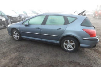 Poignee interieur arriere gauche PEUGEOT 407