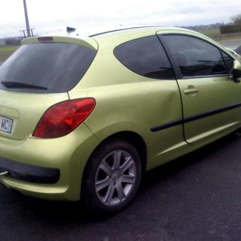 Custode arriere droit PEUGEOT 207 Photo n°5