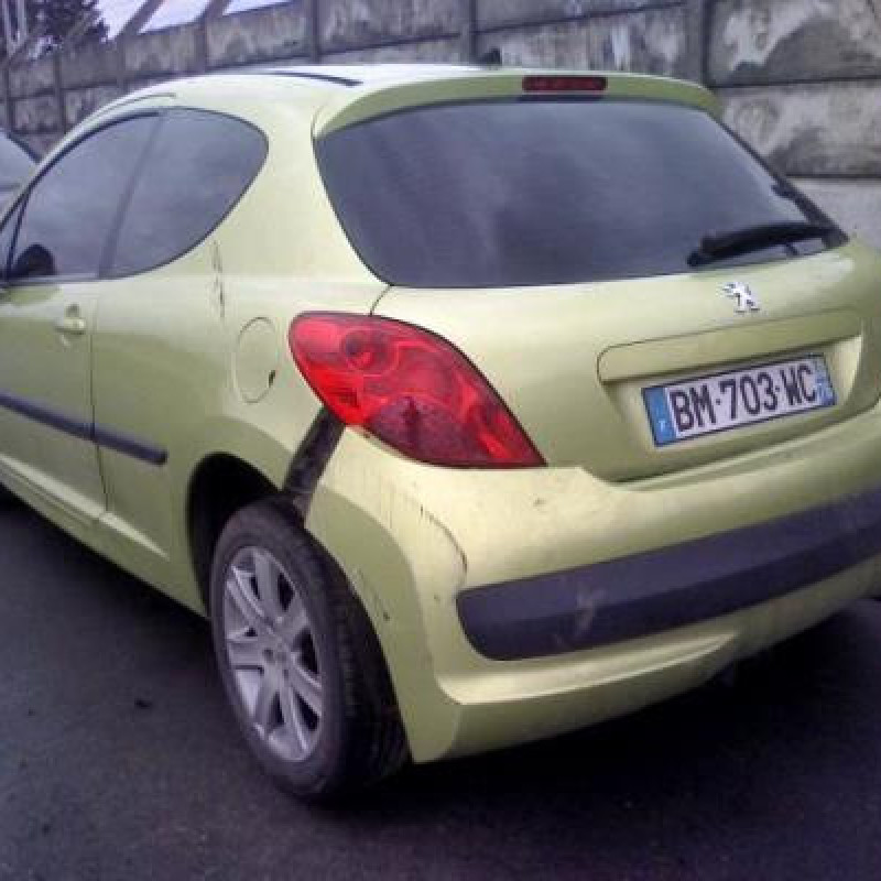 Custode arriere droit PEUGEOT 207 Photo n°6