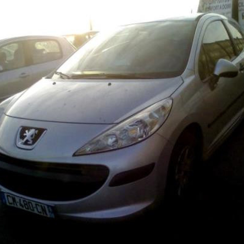 Custode arriere droit PEUGEOT 207 Photo n°2