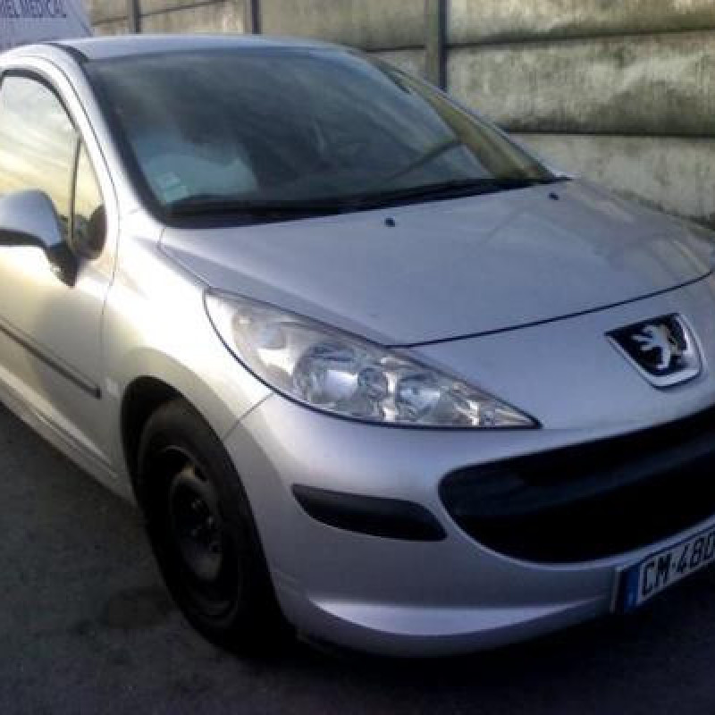 Custode arriere droit PEUGEOT 207 Photo n°3