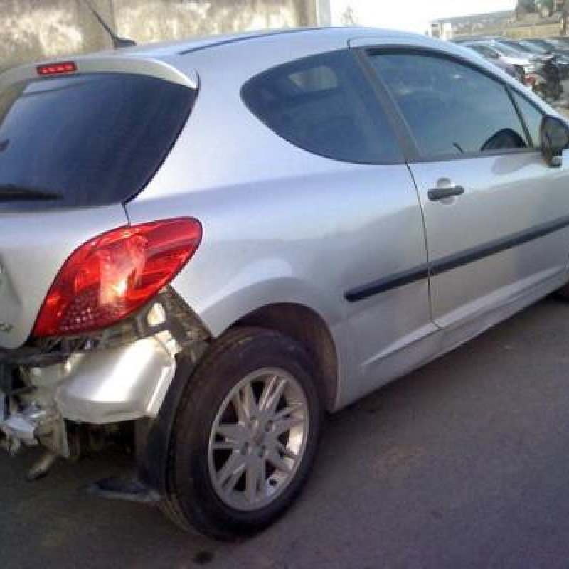 Custode arriere droit PEUGEOT 207 Photo n°4