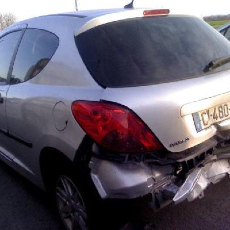 Custode arriere droit PEUGEOT 207 Photo n°7