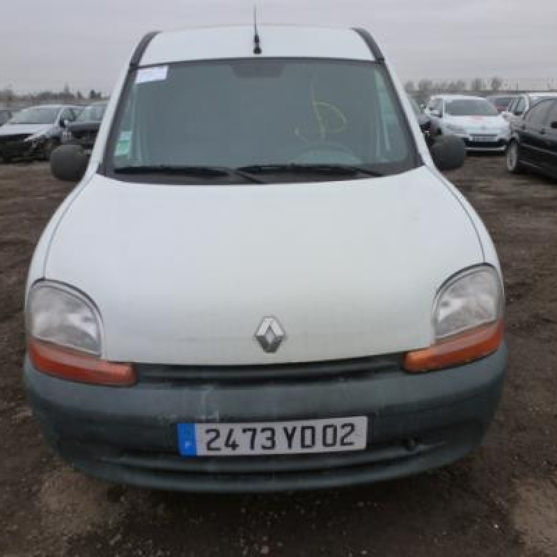 Porte de coffre gauche RENAULT KANGOO 1 Photo n°3