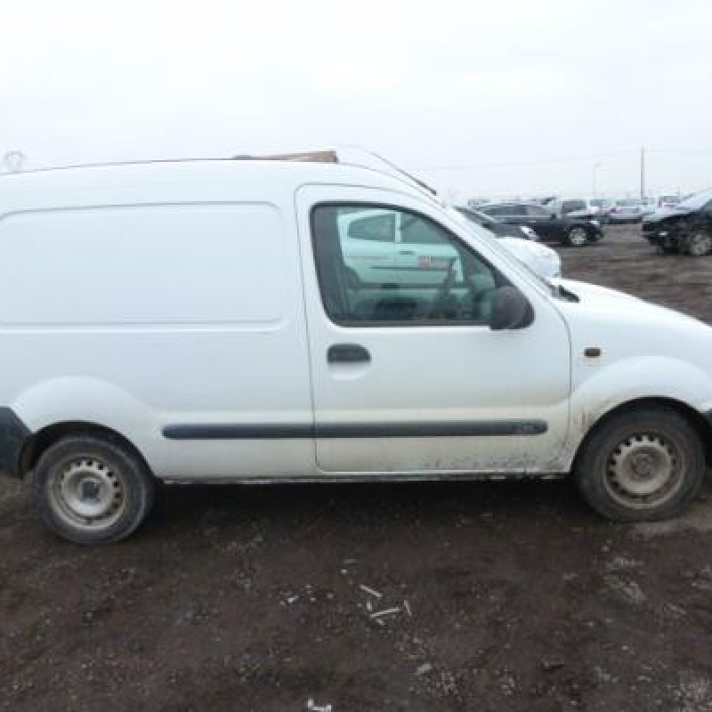 Porte de coffre gauche RENAULT KANGOO 1 Photo n°4