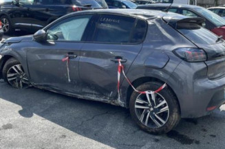 Panneau de porte avant droit PEUGEOT 208 2