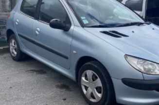 Charniere de porte avant gauche PEUGEOT 206