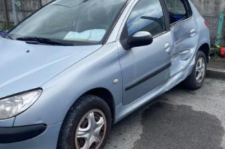 Charniere de porte avant gauche PEUGEOT 206