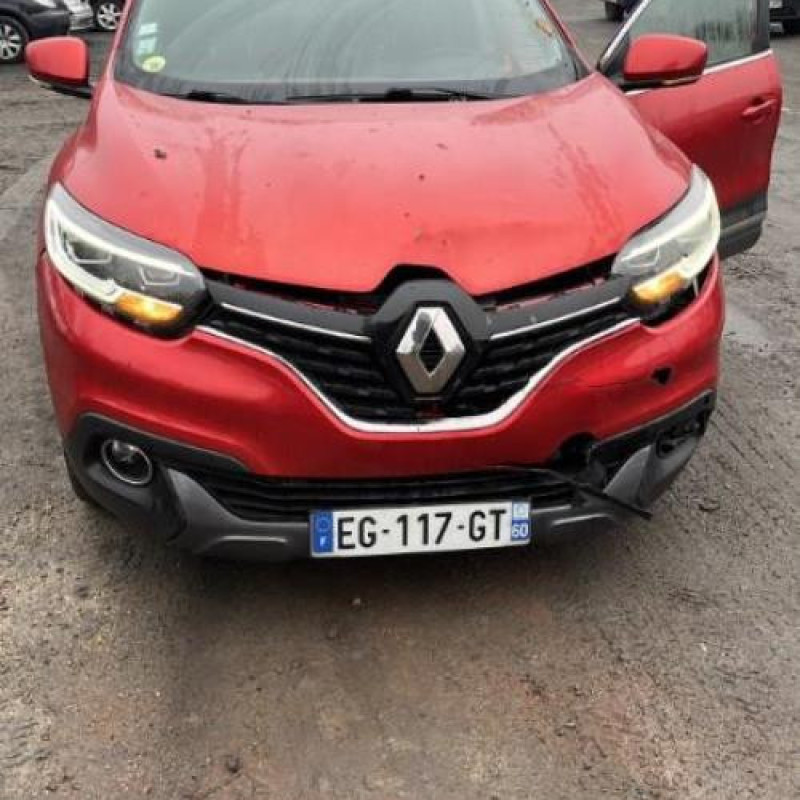 Baguette de porte arriere gauche  RENAULT KADJAR Photo n°6