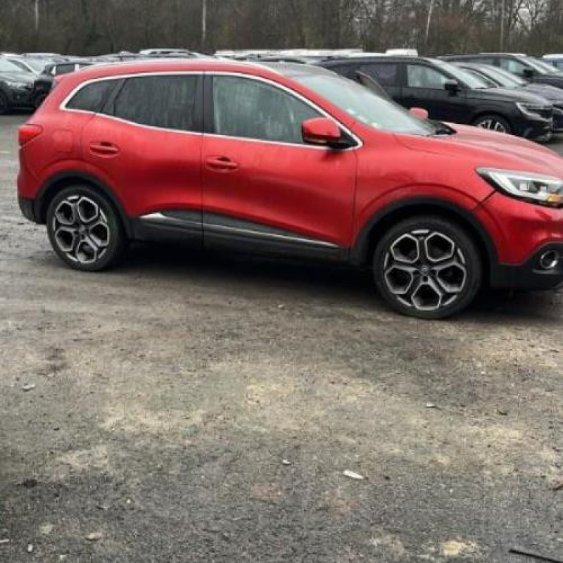 Baguette de porte arriere gauche  RENAULT KADJAR Photo n°7