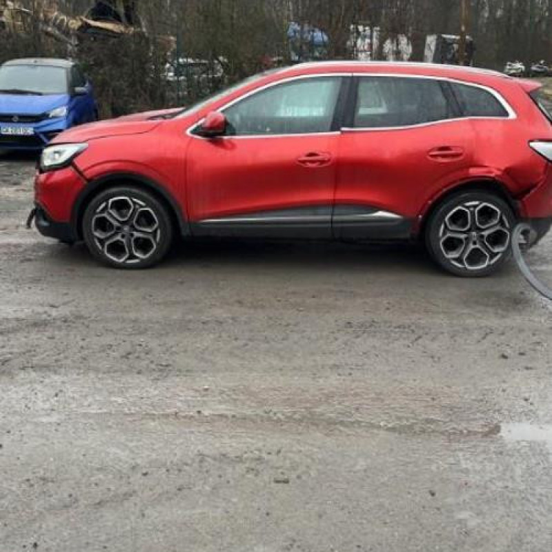 Baguette de porte arriere gauche  RENAULT KADJAR Photo n°9