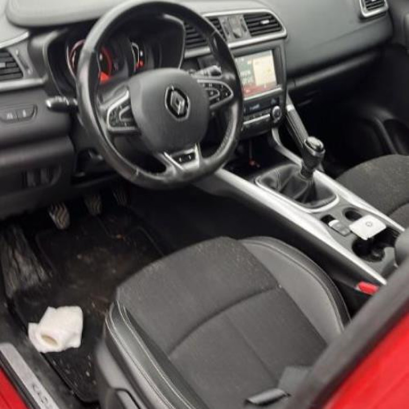 Baguette de porte arriere gauche  RENAULT KADJAR Photo n°10