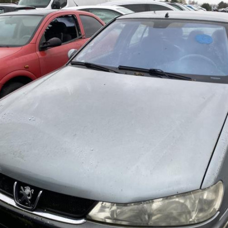 Mastervac PEUGEOT 406