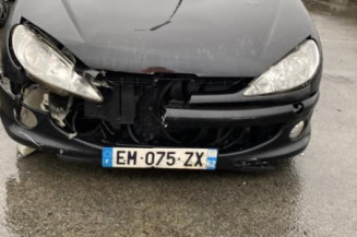 Baguette de porte arriere droite PEUGEOT 206