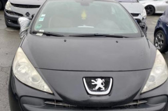 Custode arriere gauche PEUGEOT 207