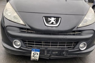 Custode arriere gauche PEUGEOT 207