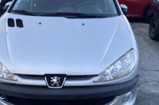 Boitier BSI PEUGEOT 206