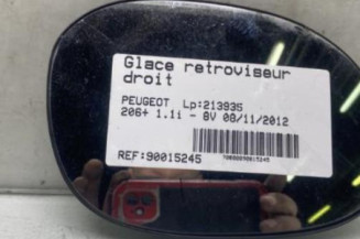 Glace retroviseur droit PEUGEOT 206+ Photo n°1