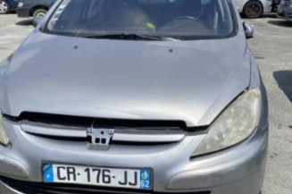 Custode avant gauche (porte) PEUGEOT 307