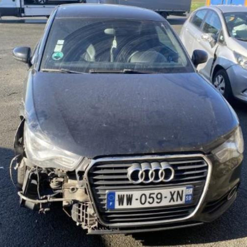 Custode arriere gauche AUDI A1 1 Photo n°9