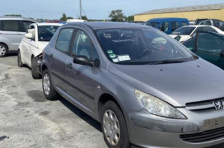 Custode avant gauche (porte) PEUGEOT 307