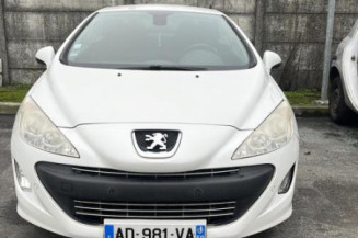 Custode avant gauche (porte) PEUGEOT 308 1