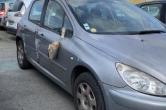 Custode avant gauche (porte) PEUGEOT 307