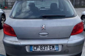 Custode avant gauche (porte) PEUGEOT 307