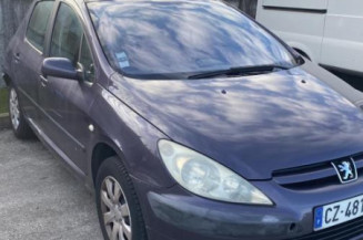 Custode avant gauche (porte) PEUGEOT 307