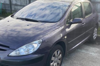 Custode avant gauche (porte) PEUGEOT 307