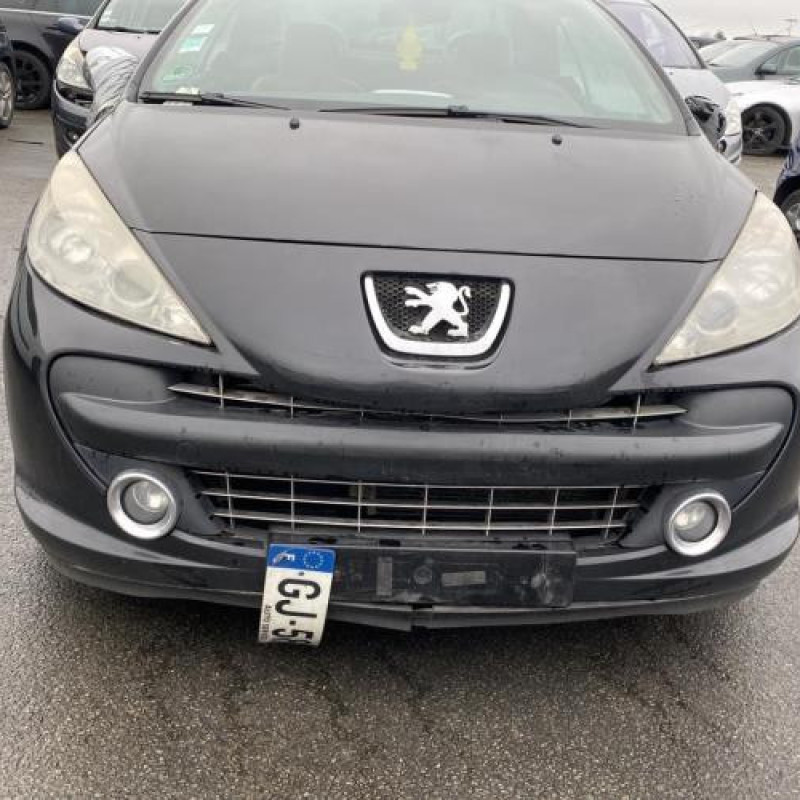 Custode arriere droit PEUGEOT 207 Photo n°9