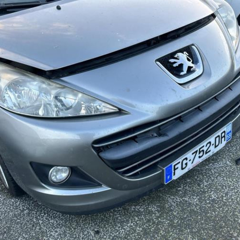 Custode arriere droit PEUGEOT 207 Photo n°9