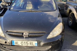 Custode avant gauche (porte) PEUGEOT 307